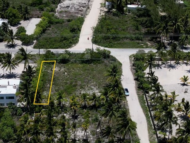 place photo 15