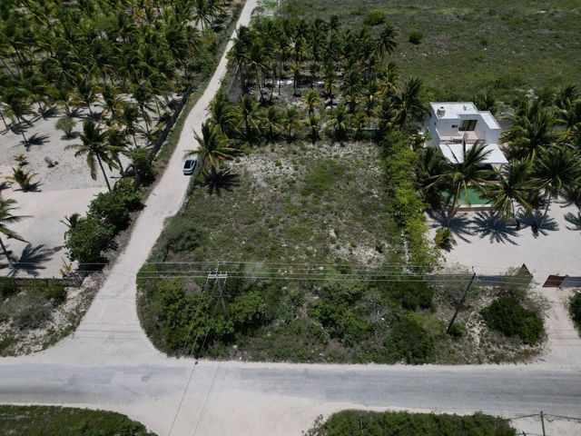 place photo 17