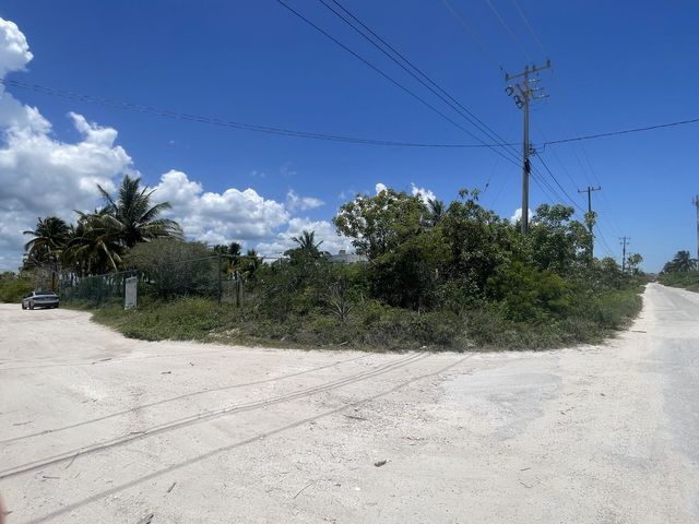 place photo 44