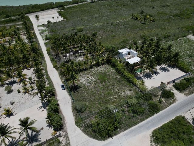 place photo 42