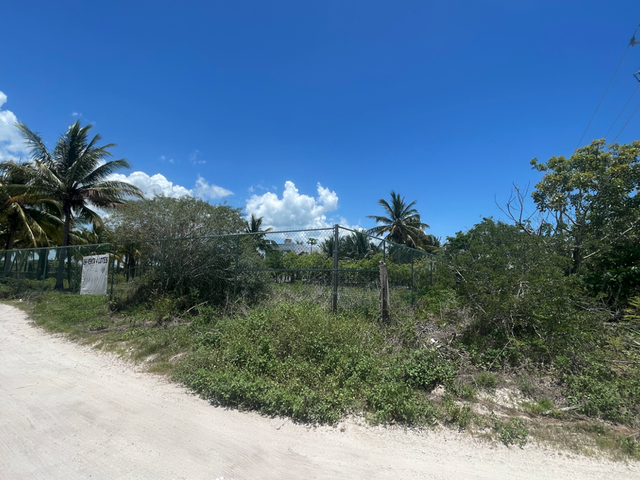 place photo 14