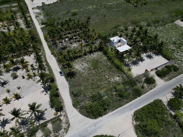 place photo 41