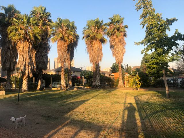 place photo 19