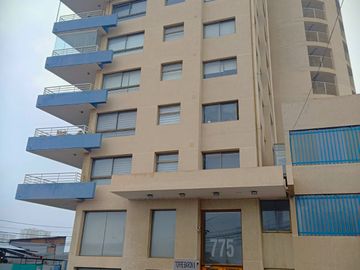 place photo 26