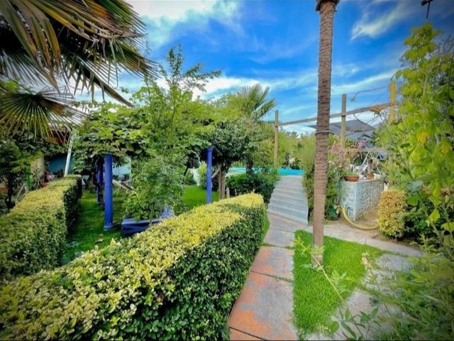 place photo 24