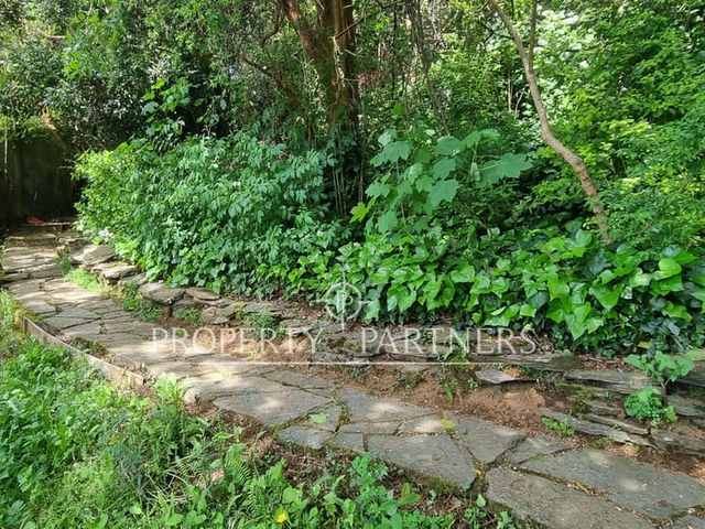 place photo 29