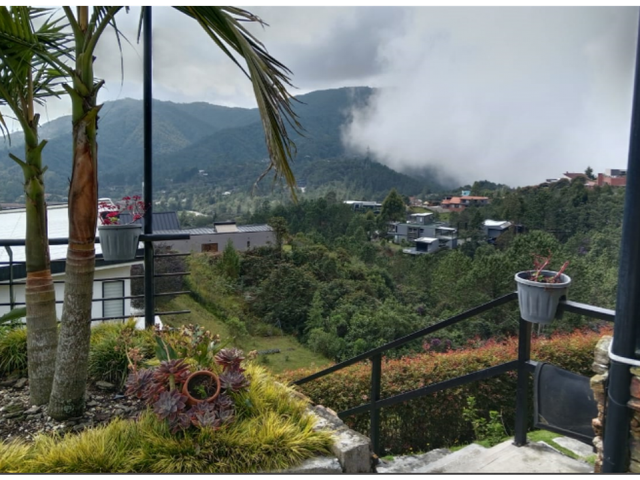 place photo 15