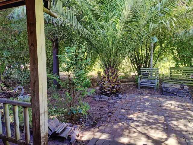 place photo 20