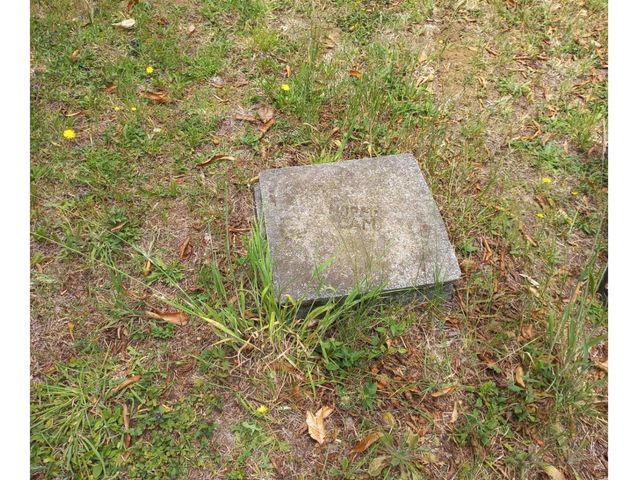 place photo 18