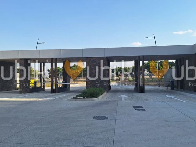 place photo 22
