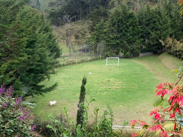 place photo 26