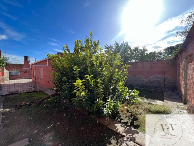 place photo 15