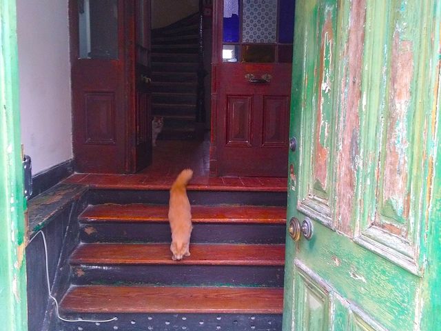 place photo 15