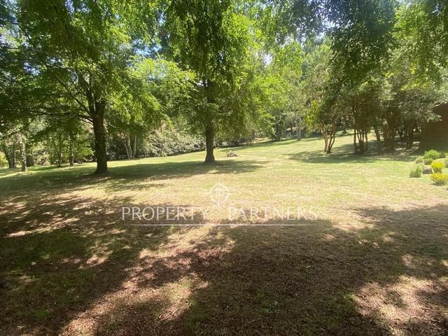 place photo 39