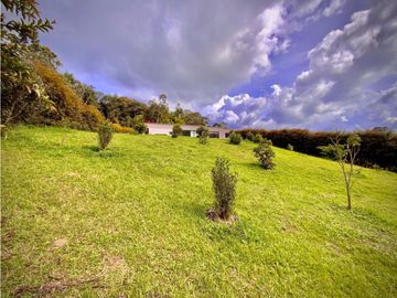 place photo 54