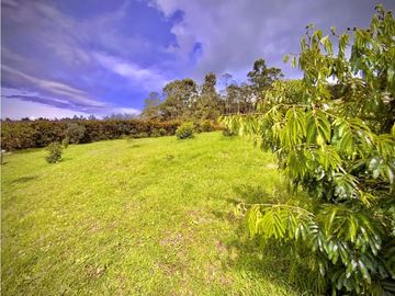 place photo 49