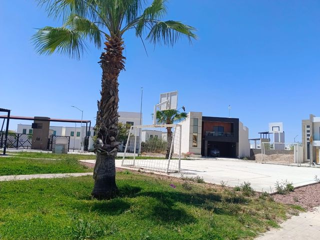place photo 25