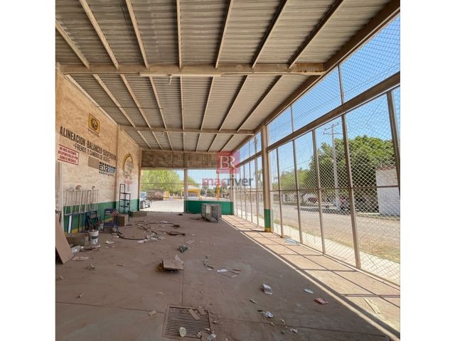 place photo 14