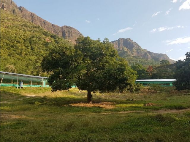place photo 15