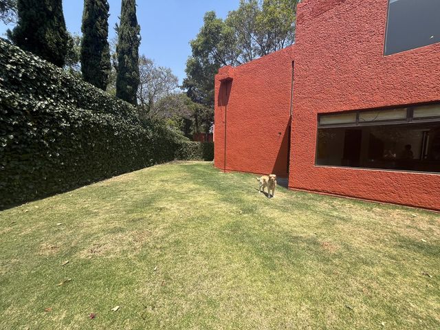 place photo 40