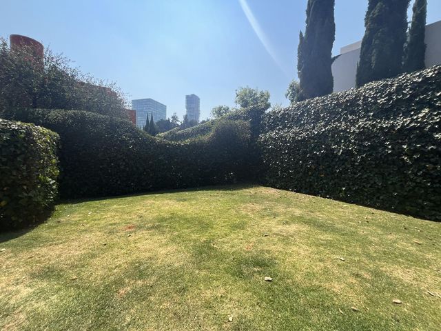 place photo 38