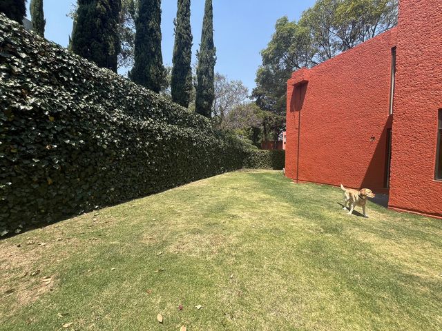 place photo 39