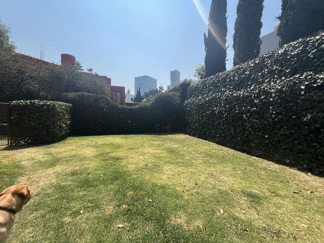 place photo 44