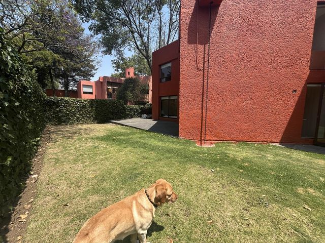 place photo 41