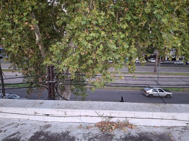 place photo 41