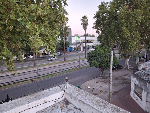 place photo 42