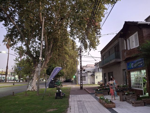 place photo 23