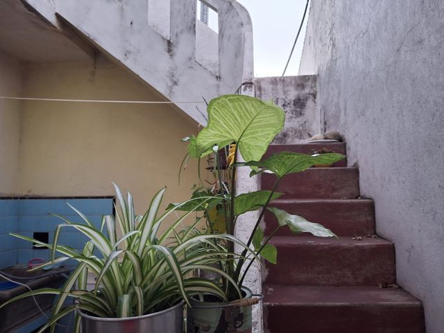 place photo 104