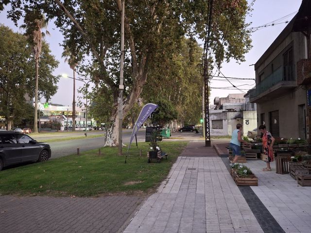 place photo 22