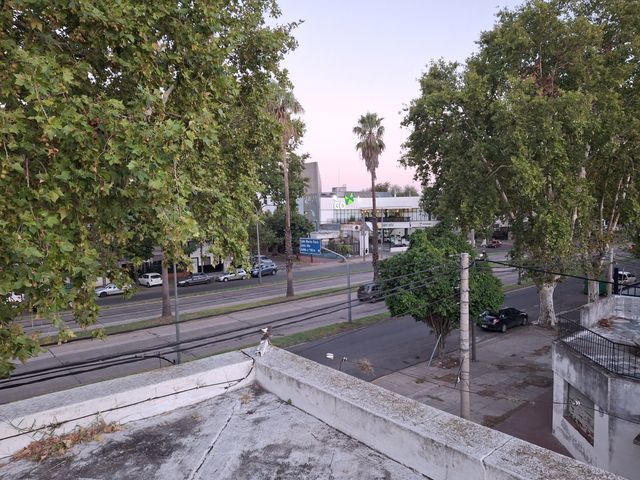 place photo 40