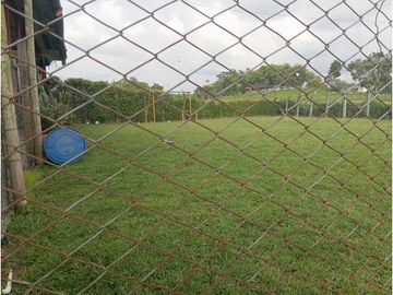 place photo 26
