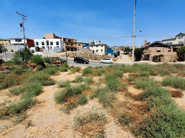 place photo 10