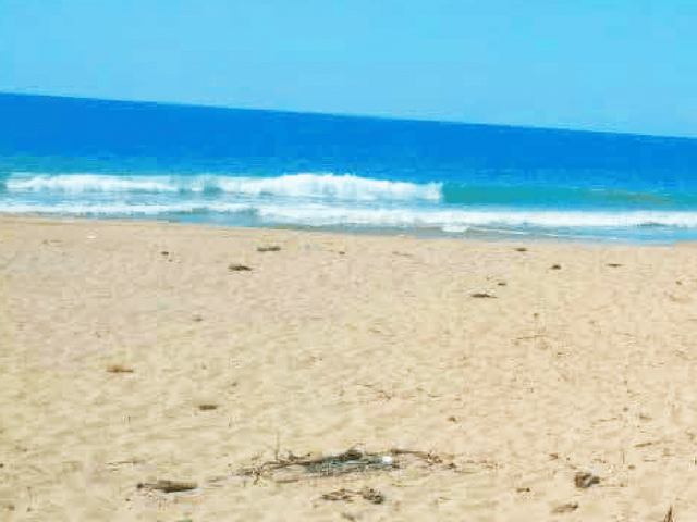 place photo 9