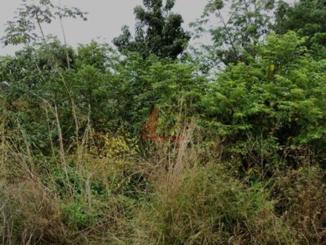 FRACCIONAMIENTO LA SELVA 225 TERRENO VENTA CANCUN QUINTANA ROO