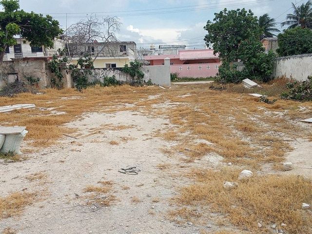 place photo 16