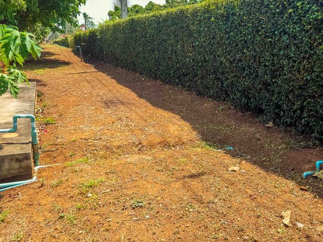 place photo 84
