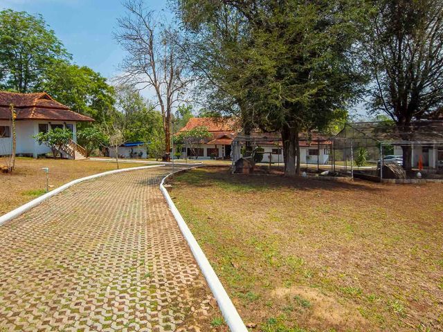 place photo 90