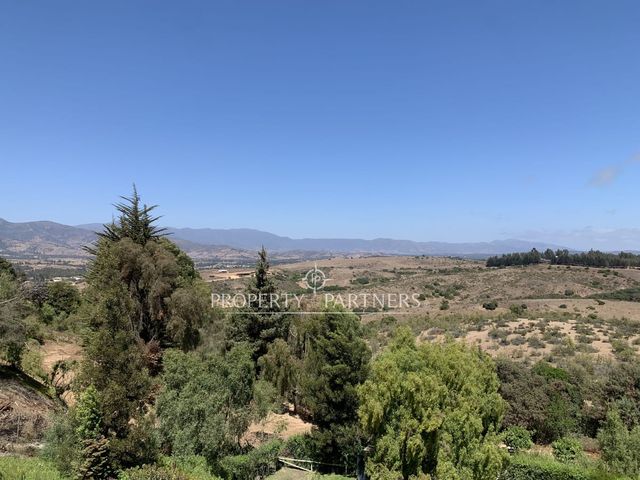place photo 39