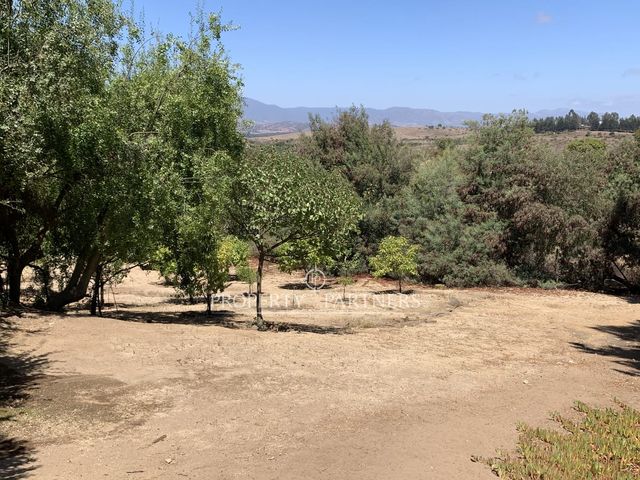 place photo 38