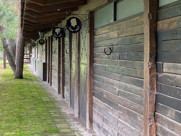 place photo 34