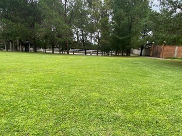 place photo 25