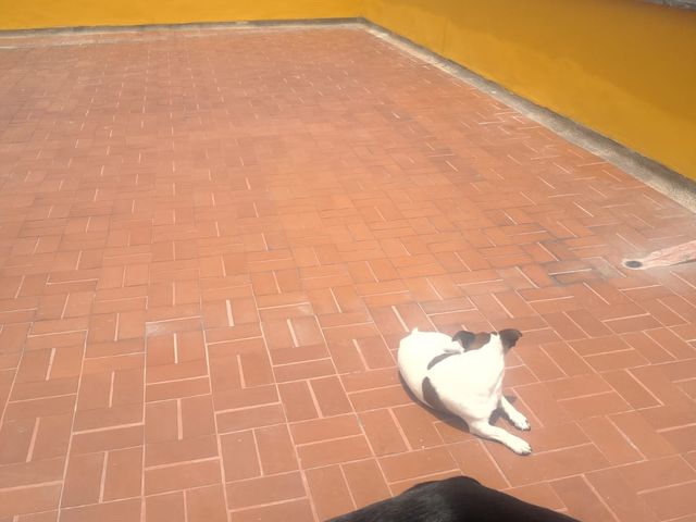 place photo 17
