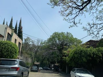 place photo 45