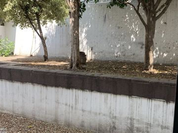 place photo 40
