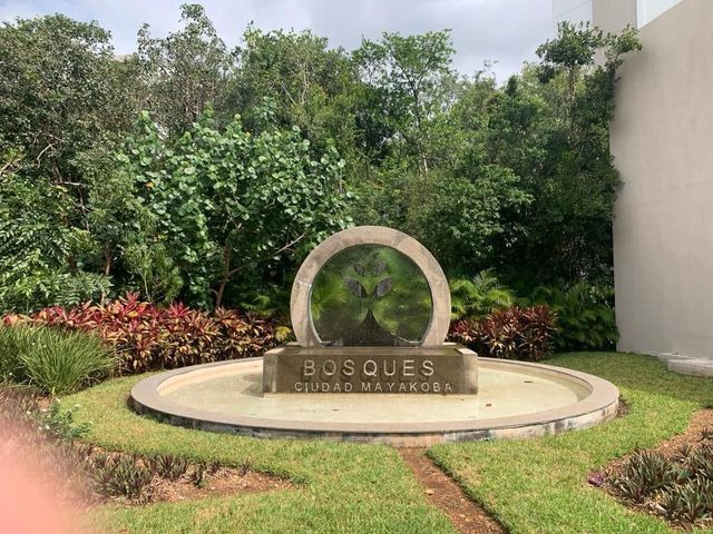 place photo 19