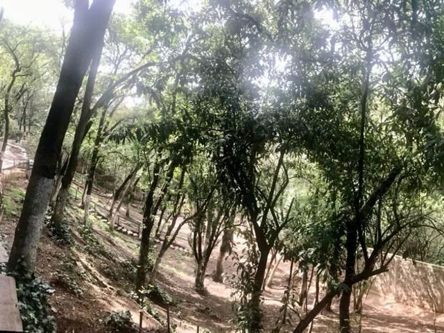place photo 31